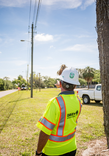 vegetation management equipment